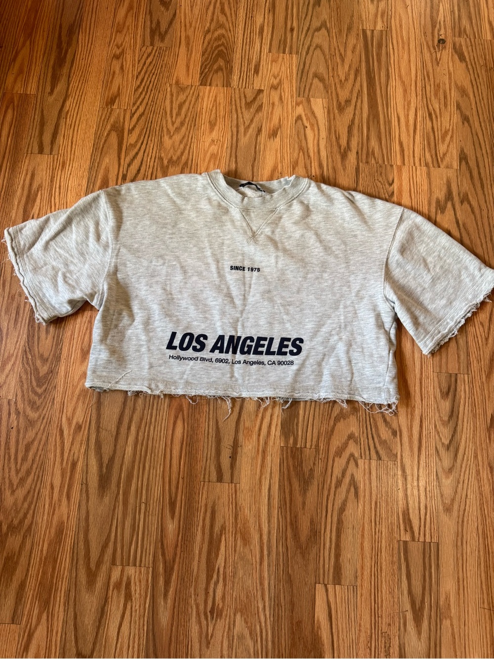 Zara cropped sweatshirt